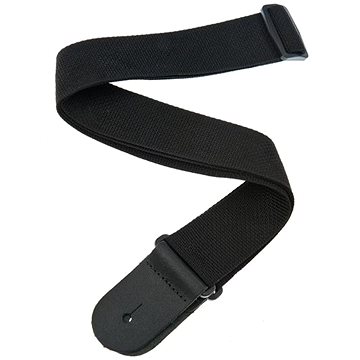 Obrázok Planet Waves PWS100