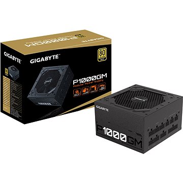 Obrázok GIGABYTE P1000GM (GP-P1000GM)