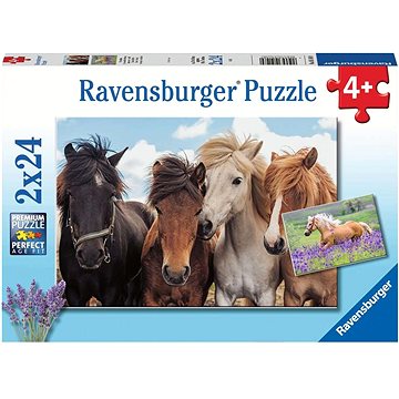 Obrázok Ravensburger 051489 Fotky koní 2× 24 dielikov (4005556051489)