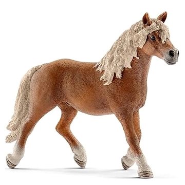 Obrázok SCHLEICH 13813 Hřebec Haflingerský