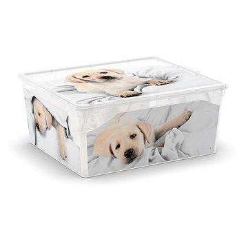 Obrázok KIS C-Box Puppy & Kitten M 18l (84090002054)