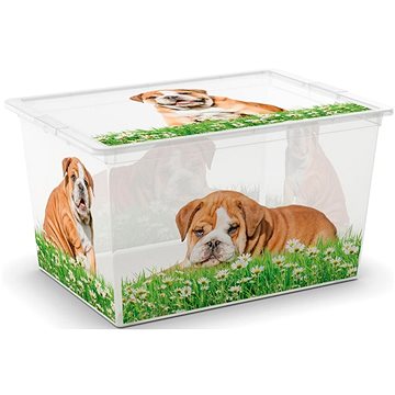 Obrázok KIS C-Box Puppy & Kitten XL 50 l na kolieskach (84180002057)