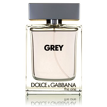 Obrázok Dolce & Gabbana The One Grey toaletná voda pre mužov 100 ml  