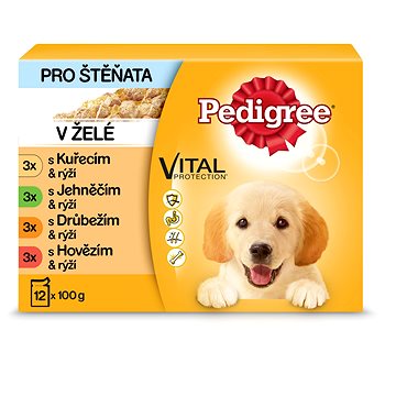 Obrázok Pedigree kapsa Junior 12pack 100g