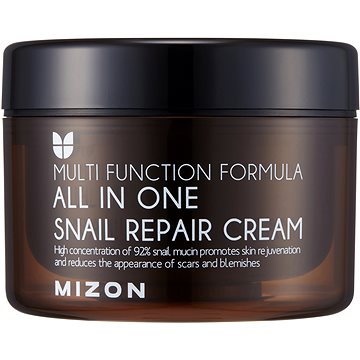 Obrázok MIZON All In One Snail Repair Cream 120 ml (8809390126954)