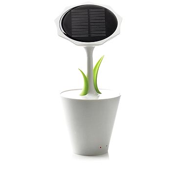 Obrázok XD Design Solar Sunflower (P323.233)