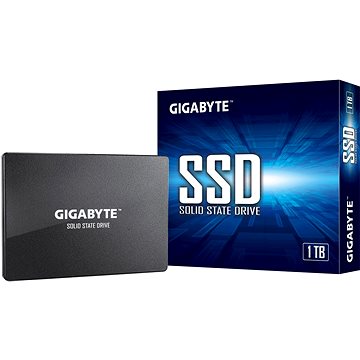 Obrázok GIGABYTE SSD 1TB GP-GSTFS31100TNTD