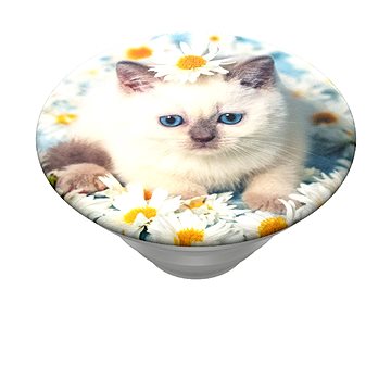 Obrázok PopSockets PopTop Gen.2 Purr-fect Flower výměnný vršek (801074)