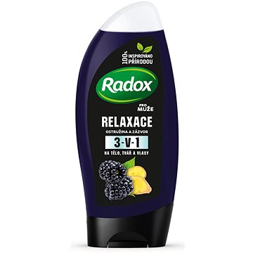 Obrázok Radox Men Feel Wild blackberry & ginger 2v1 250 ml (8710522406601)