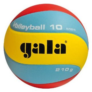 Obrázok Gala Volleyball 10 BV 5551 S – 210 g (8590001108802)