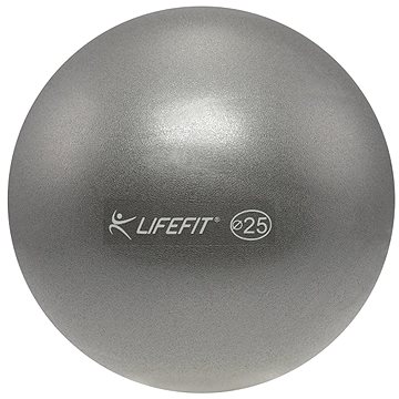 Obrázok Míč OVERBALL LIFEFIT 25cm, stříbrný