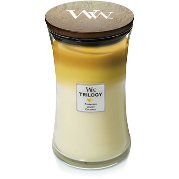 Obrázok WOODWICK Trilogy Fruit of Summer 609 g (5038581054292)