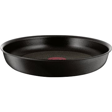 Obrázok TEFAL Pánev 22 cm INGENIO EXPERTISE (L6500302)