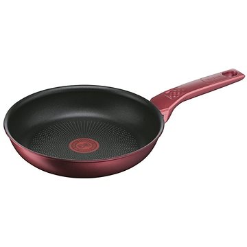 Obrázok Tefal panvica 24 cm Daily Chef G2730472