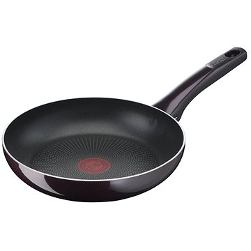 Obrázok Tefal panvica 24 cm Resist Intense D5220483