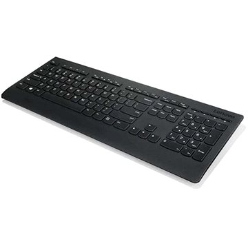 Obrázok Lenovo Professional Wireless Keyboard - Slovak (4X30H56867)