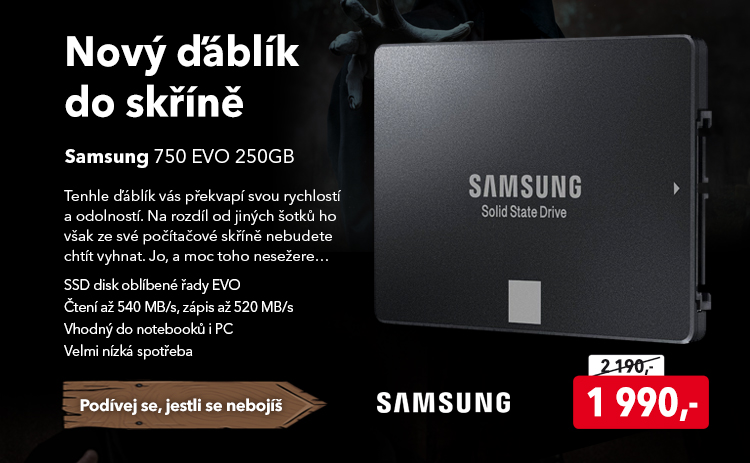 SSD disk Samsung 750 EVO 250GB