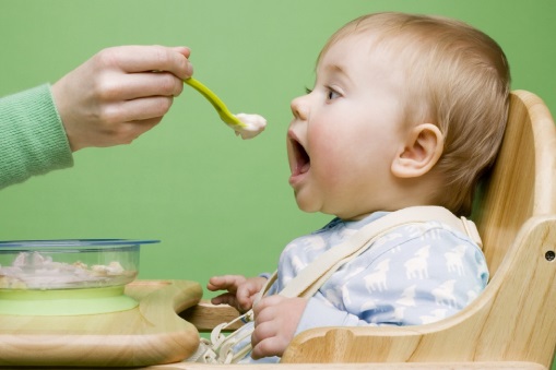 Výživa kojenců a batolat 
