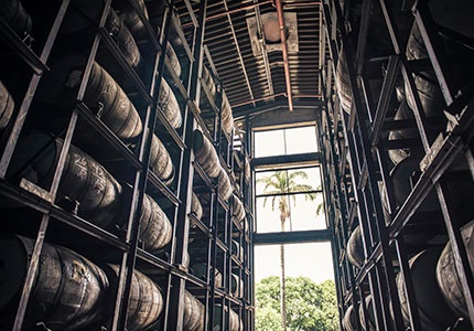 Diplomatico rum