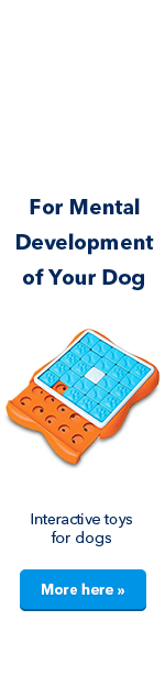 Interactive toys for dogs
