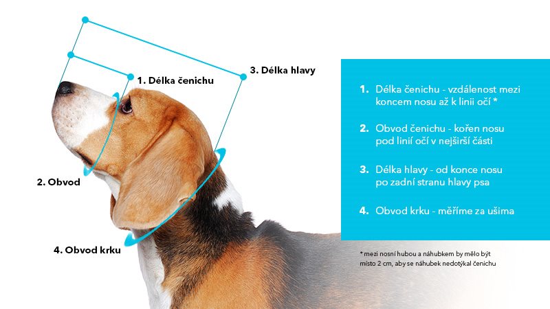 Měření psa - náhubek