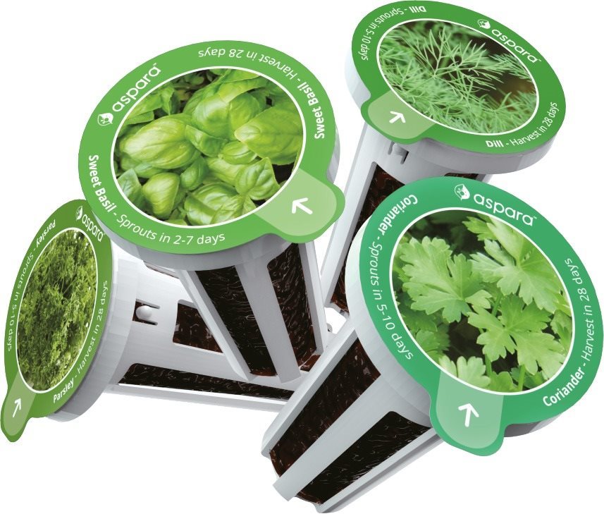 Aspara Seed Kit Fűszernövény válogatás