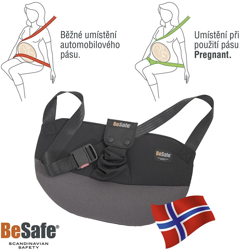 BeSafe Pregnant