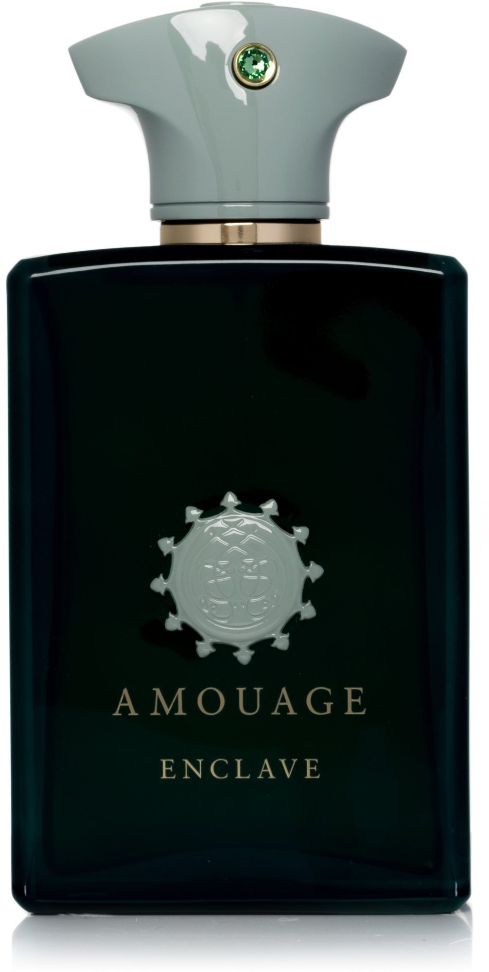 Amouage Enclave Eau de Parfum unisex 100 ml