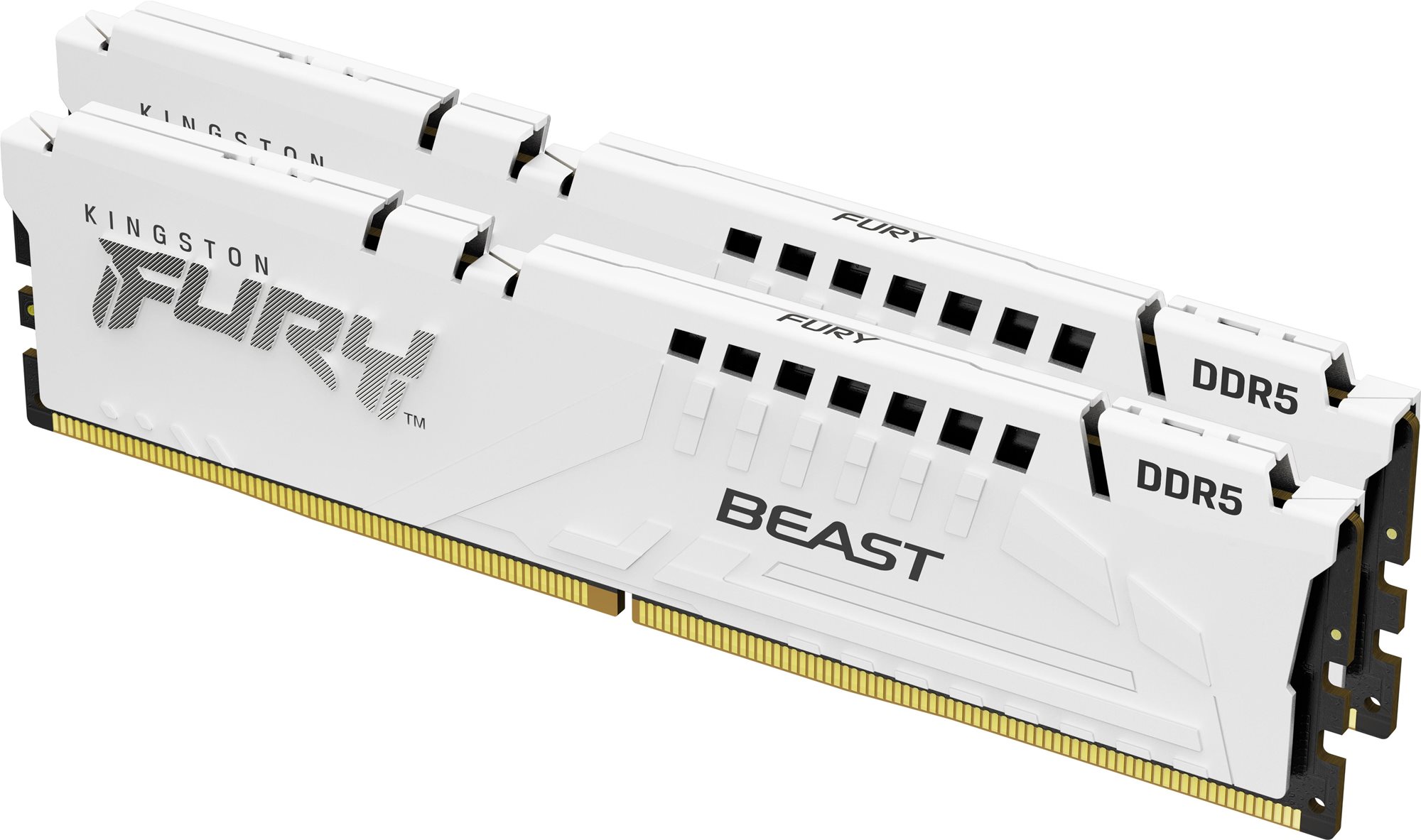 RAM memória Kingston FURY 32GB KIT DDR5 5600MHz CL36 Beast White EXPO