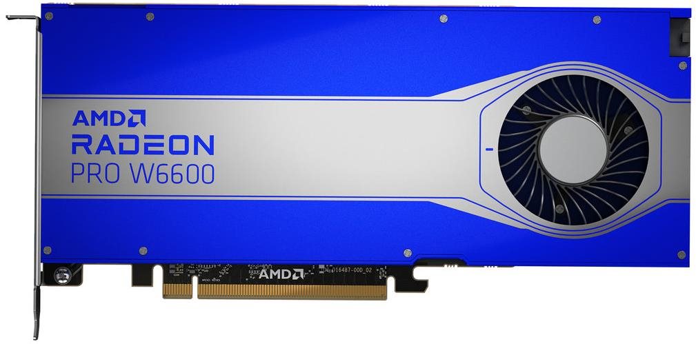 HP AMD Radeon Pro W6600 8 GB