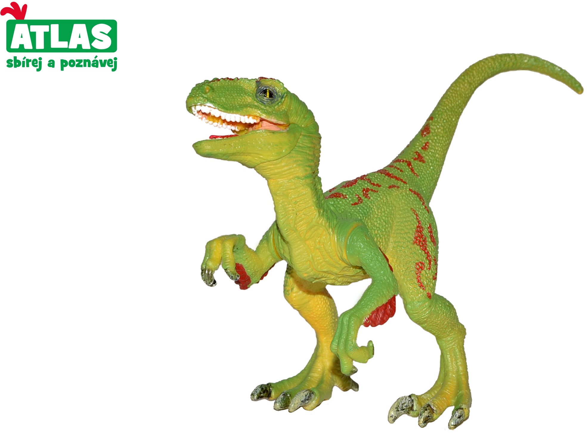 Atlas Velociraptor