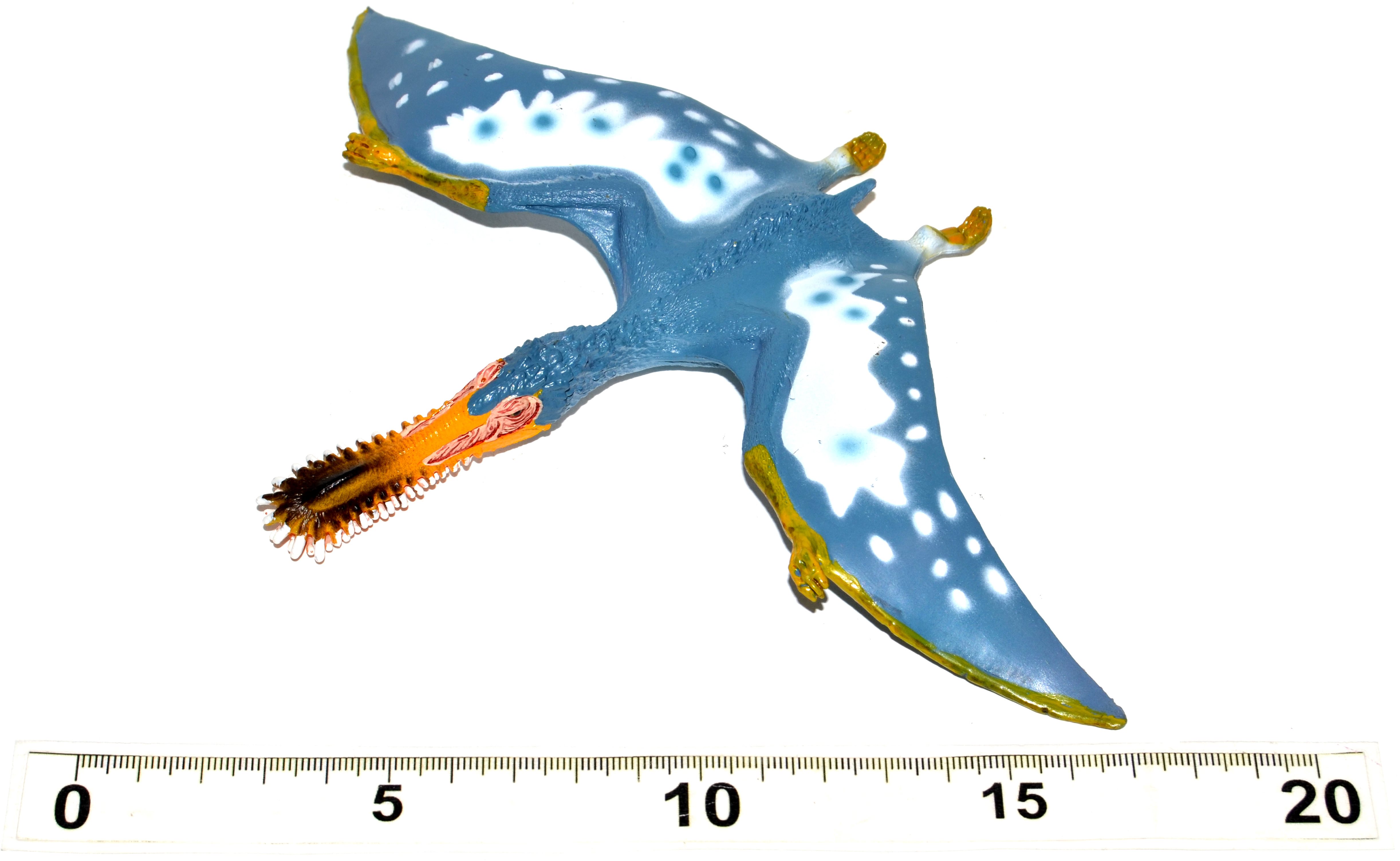 Atlas Pterosaurus