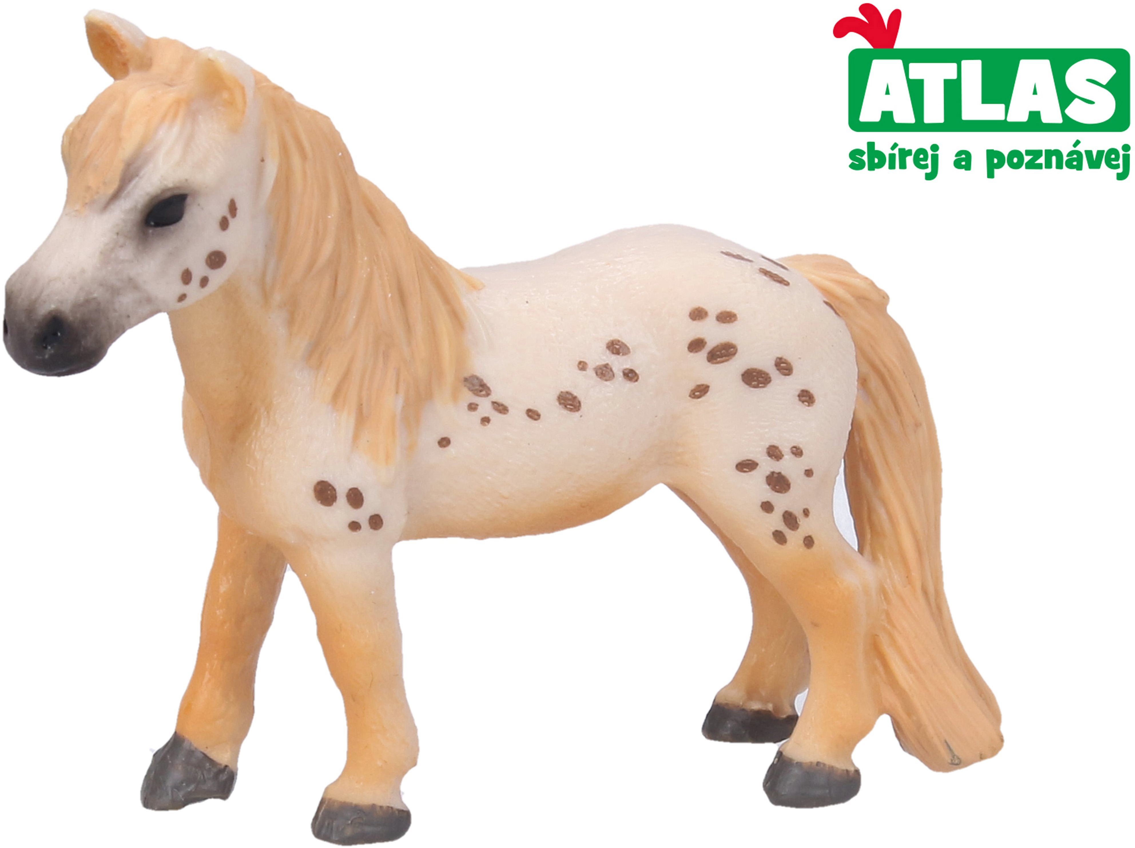 Atlas Pony