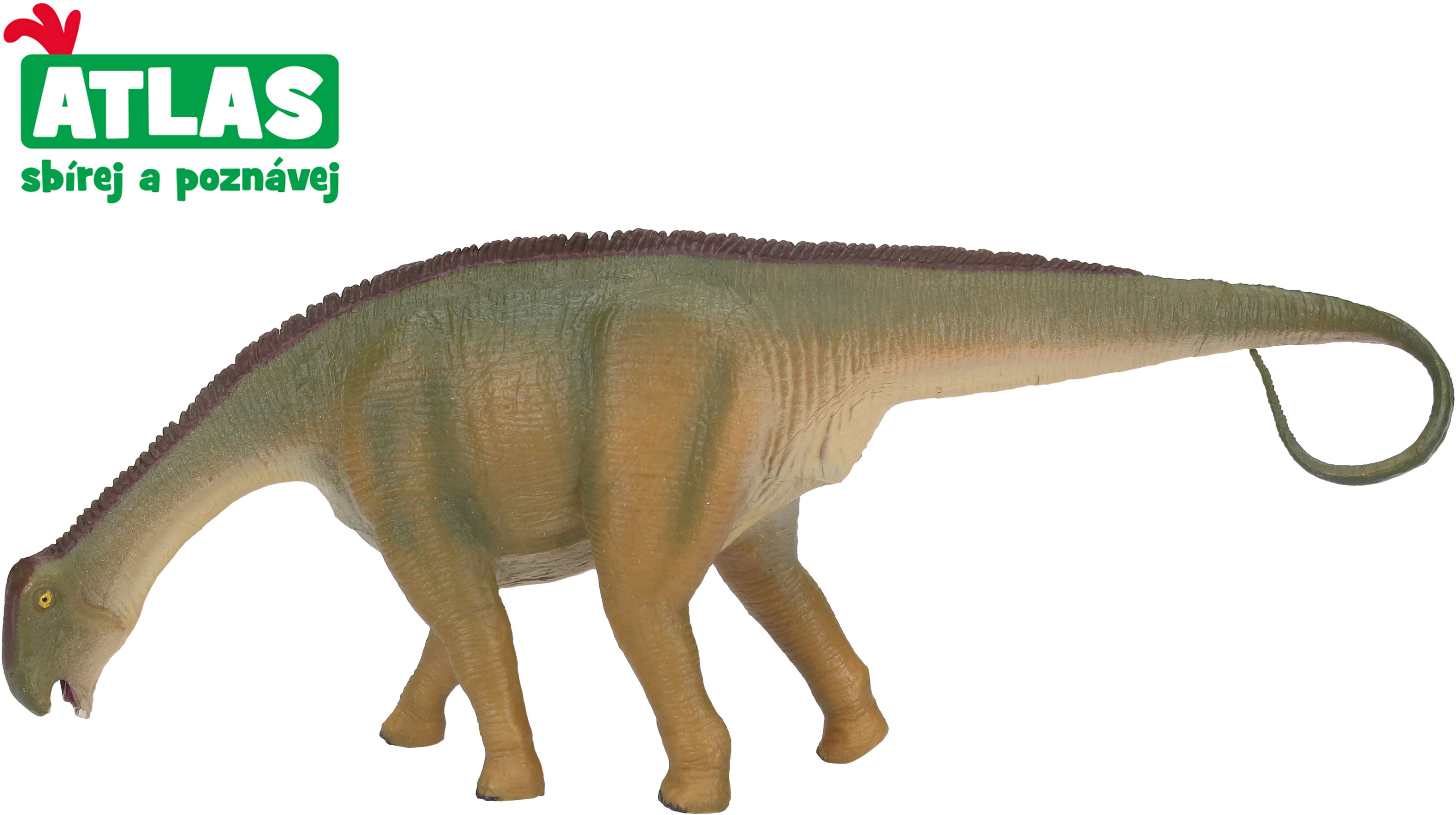 Atlas Hadrosaurus