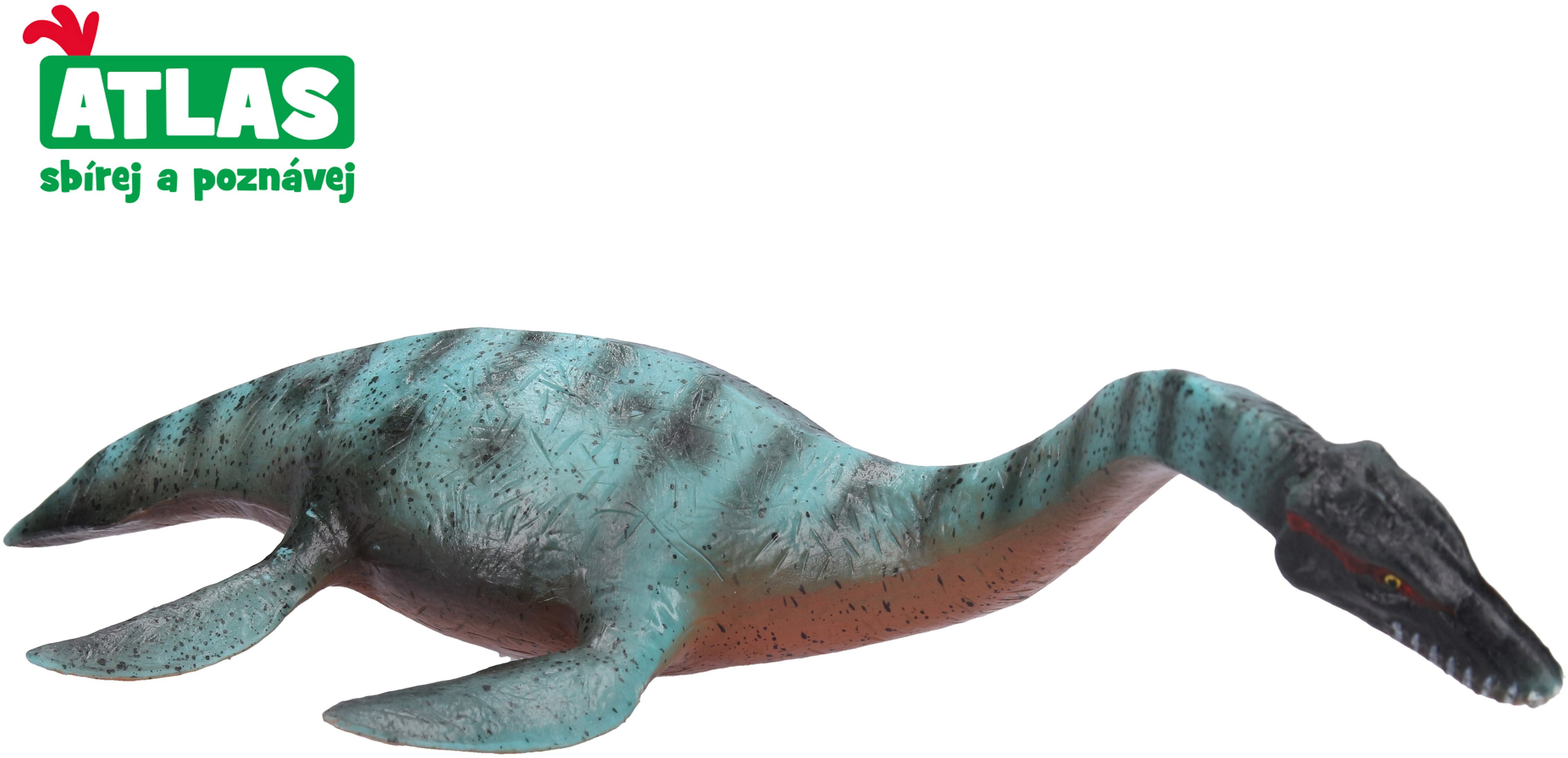 Atlas Plesiosaurus