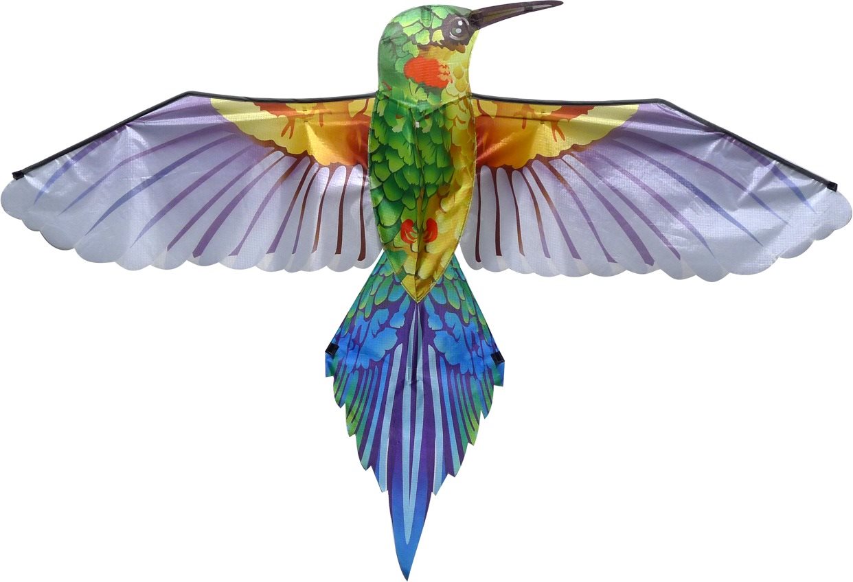 Sárkány - lila kolibri