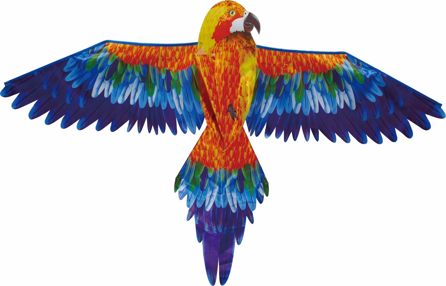 Sárkány - vörös papagáj