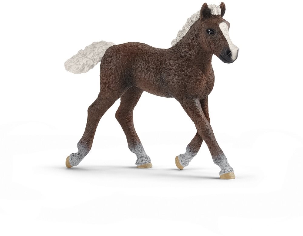 Schleich 13899 Schwarzwaldi csikó