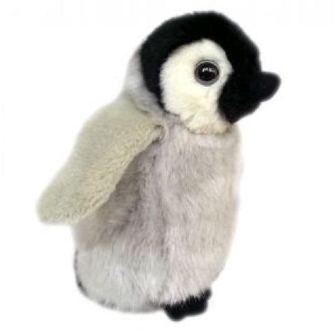 Pingvin - kicsi