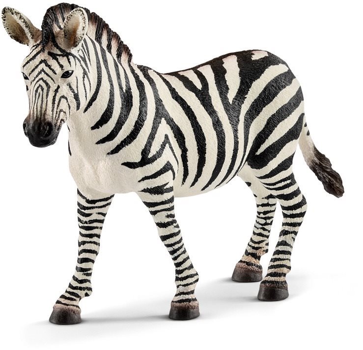 Schleich 14810 Zebra nő