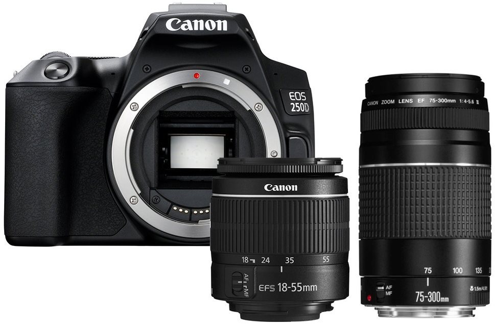 Canon EOS 250D fekete + EF-S 18-55 mm f/3,5-5,6 DC III + EF 75-300 mm f/4-5.6 III