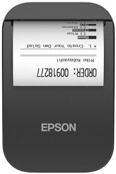 Epson TM-P20II (101)