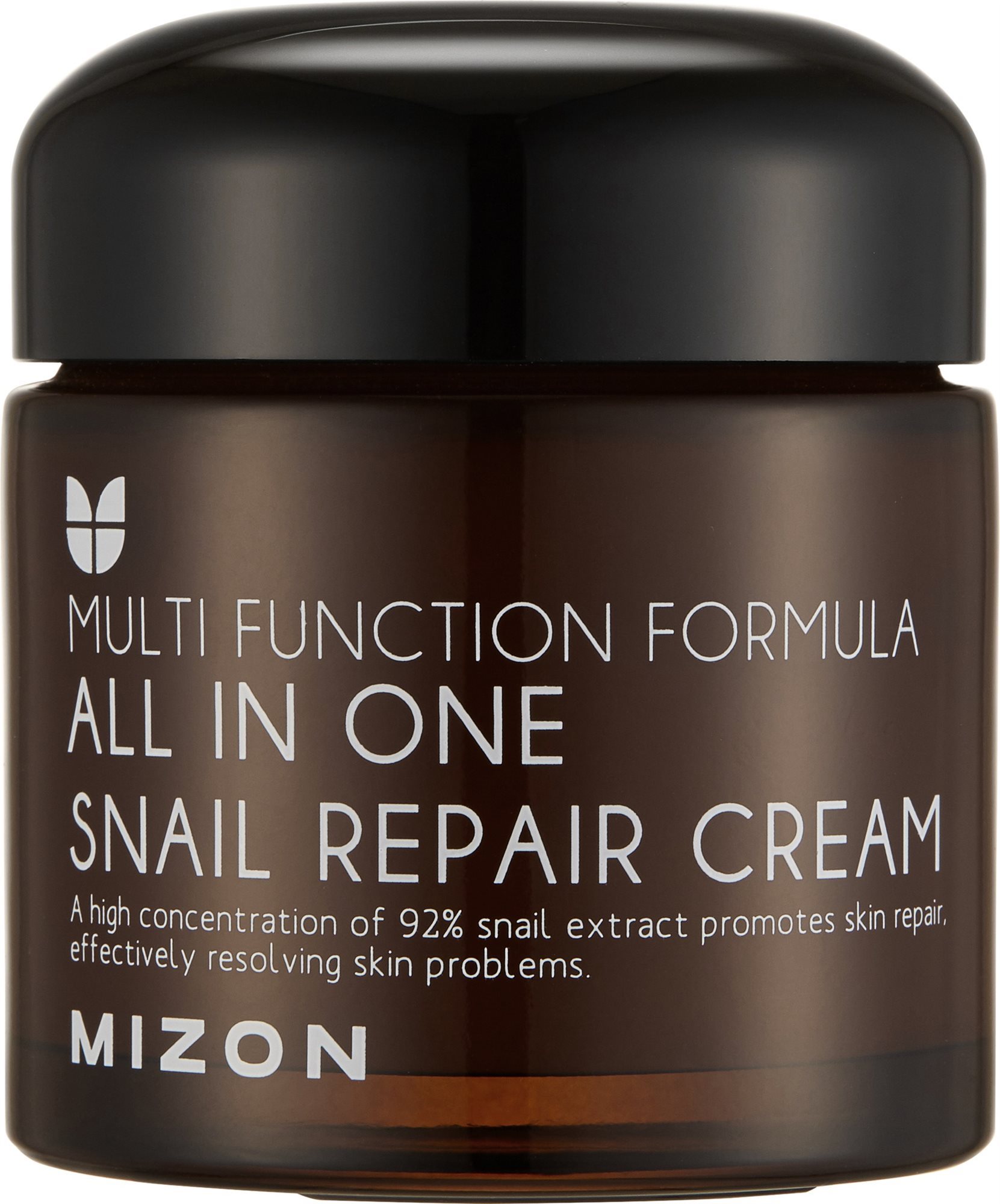 MIZON All In One Snail Repair Cream 75 ml