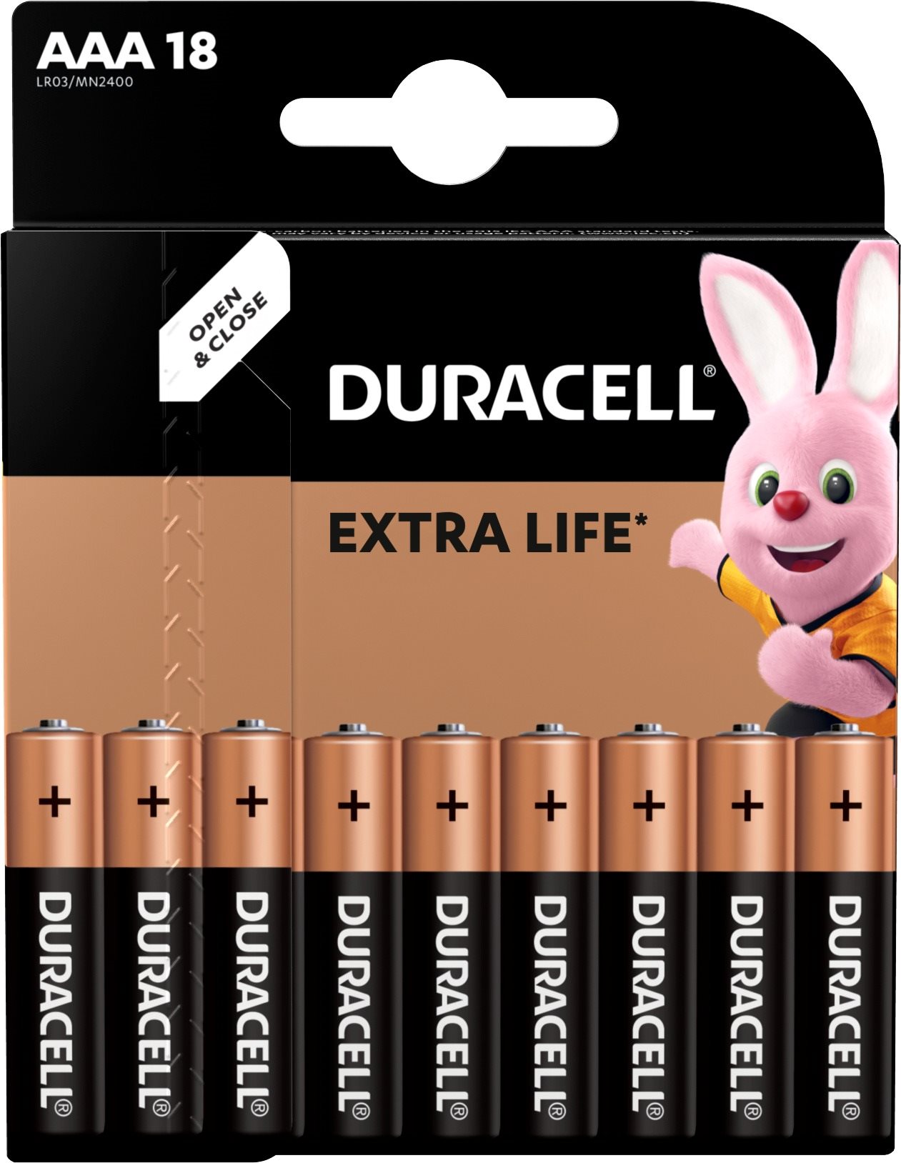 Duracell Basic 2400 K18 AAA AAA Duralock