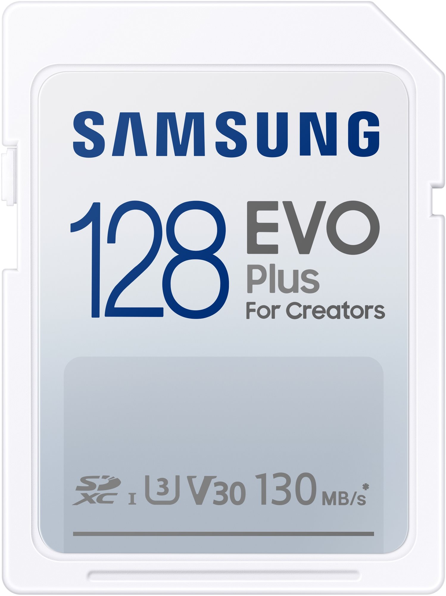 Samsung SDXC 128 GB EVO PLUS