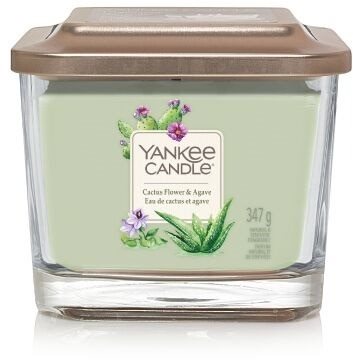 YANKEE CANDLE Cactus Flower and Agave 347 g