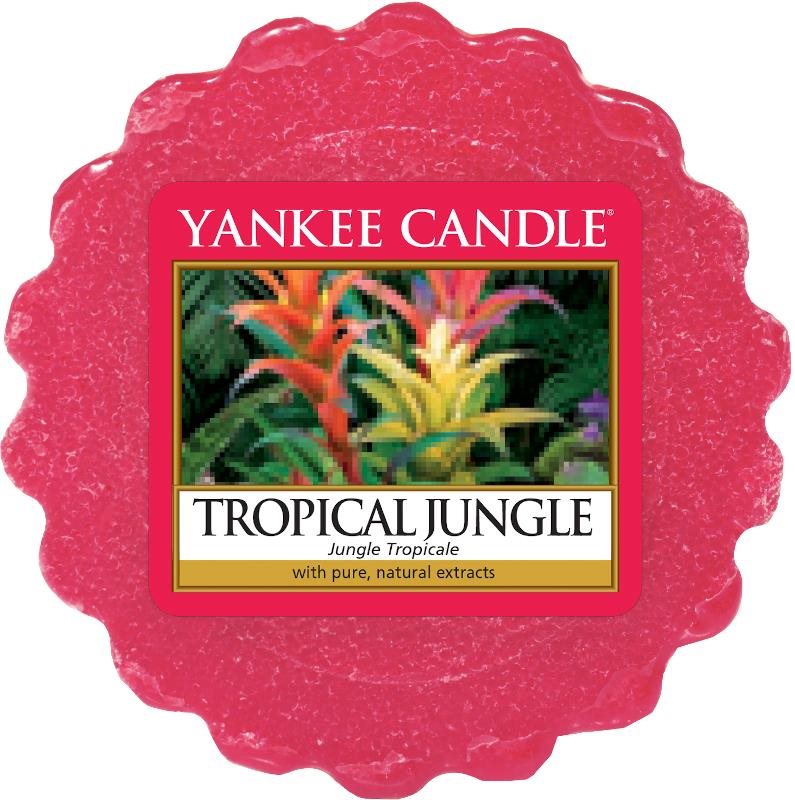 YANKEE CANDLE Tropical Jungle 22 g