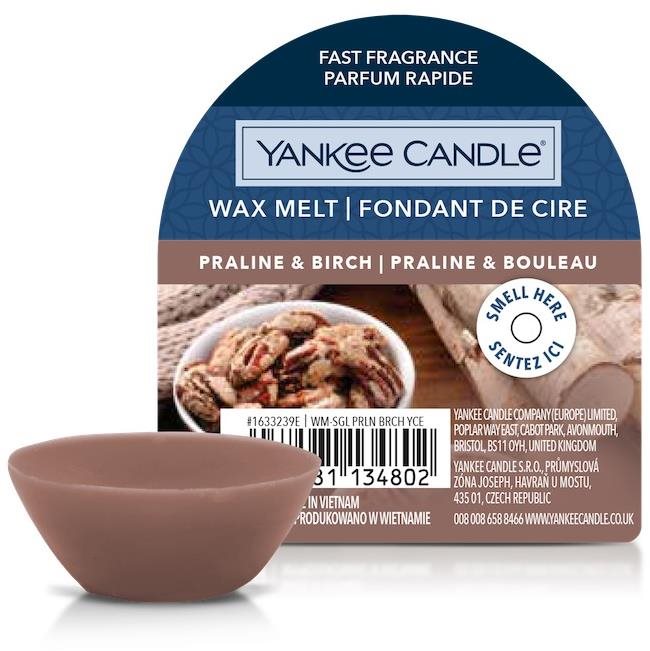 YANKEE CANDLE Praline & Birch 22 g