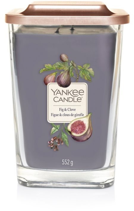 YANKEE CANDLE Fig and Clove 552 g