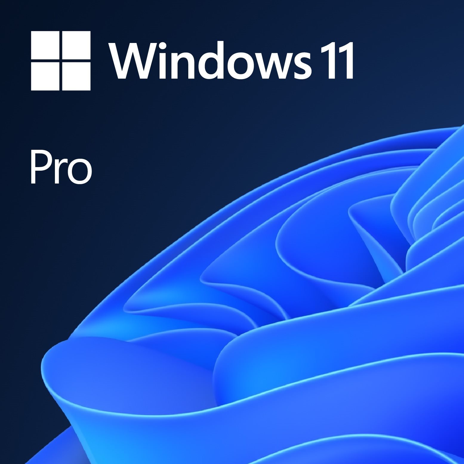 Microsoft Windows 11 Pro HU (OEM)